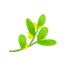 图片关键词 图片关键词