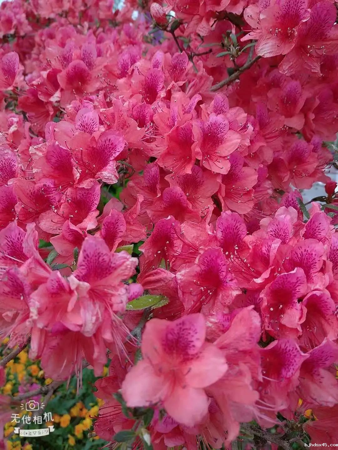 图片关键词 图片关键词